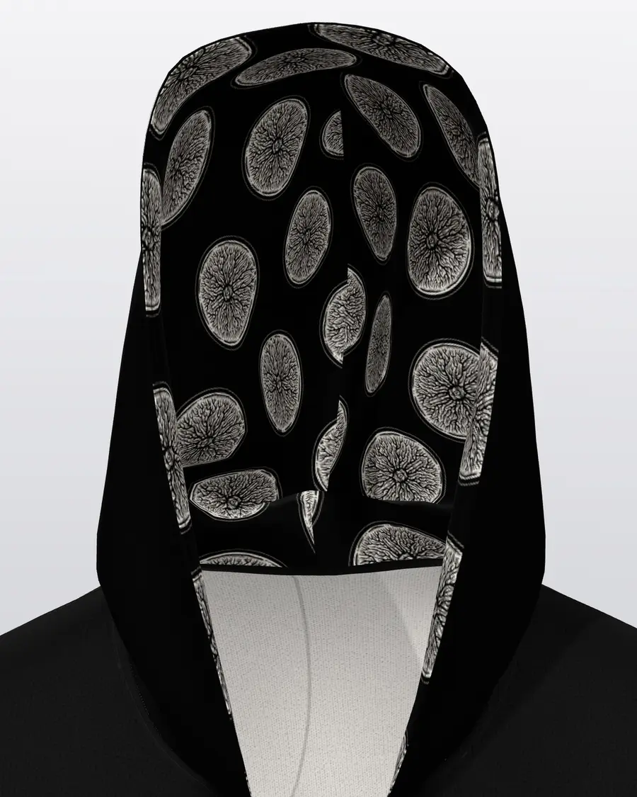 The Transfer Zip Hoodie, hood lining